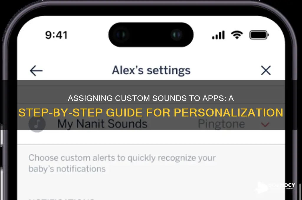 how to assign sound to app