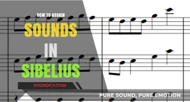 Mastering Sibelius: A Step-by-Step Guide to Assigning Sounds