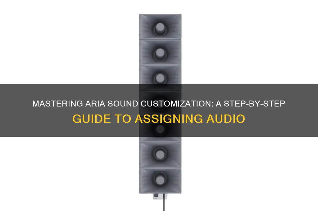 how to assign sounds to aria