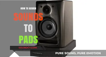 Mastering Pad Assignments: A Step-by-Step Guide to Mapping Sounds