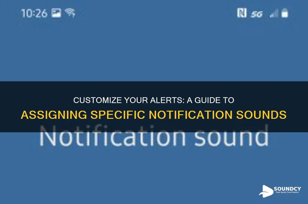 how to assign specific notification sounds