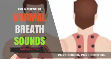 Mastering Auscultation: A Guide to Identifying Normal Breath Sounds