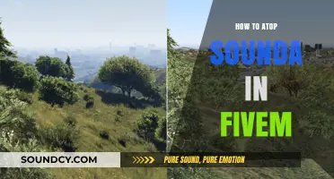 Mastering Silence: Effective Ways to Stop Sounds in FiveM