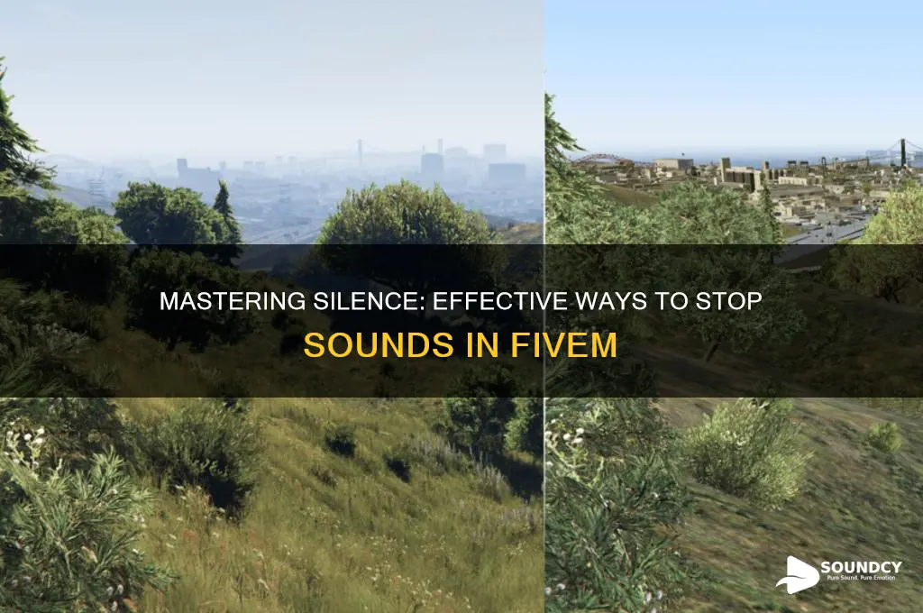 how to atop sounda in fivem