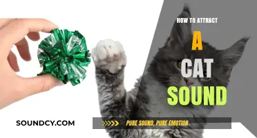 Mastering the Art of Attracting Cats with Sounds: A Comprehensive Guide