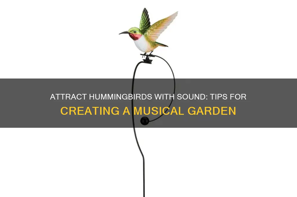 how to attract hummingbirds with sound