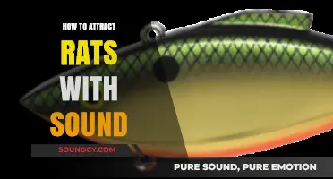Using Sound Waves to Lure Rats: A Comprehensive Guide