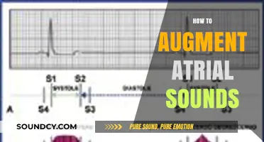Enhancing Atrial Sound Analysis: Techniques to Augment Diagnostic Accuracy