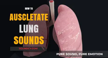 Mastering Auscultation: A Step-by-Step Guide to Identifying Lung Sounds