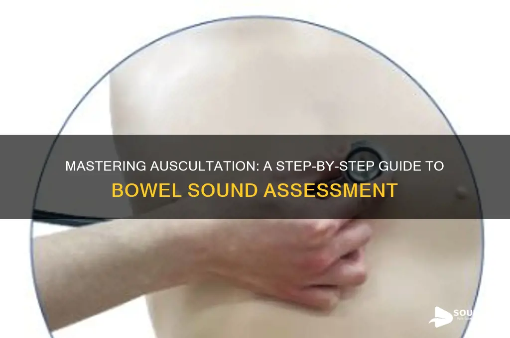 how to auscultate bowel sounds