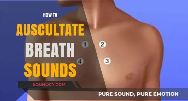 Mastering Auscultation: A Step-by-Step Guide to Identifying Breath Sounds