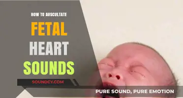 Mastering Fetal Heart Auscultation: Techniques for Clear and Accurate Sounds