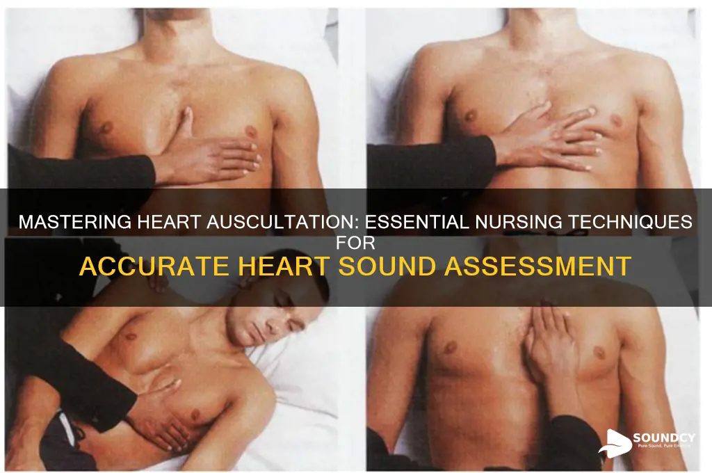 how to auscultate heart sounds nursing