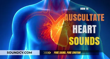 Mastering Auscultation: A Step-by-Step Guide to Heart Sound Assessment