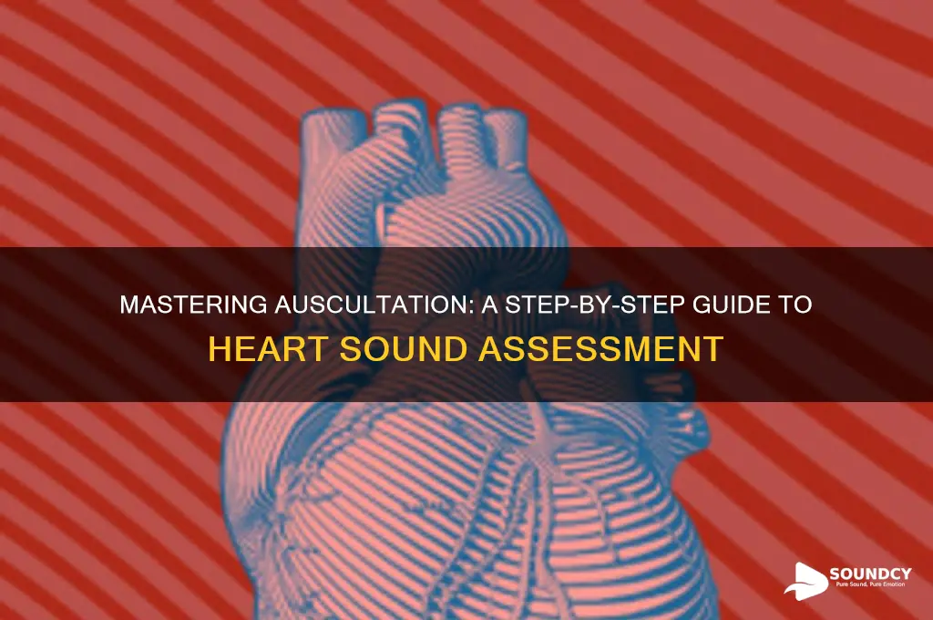 how to auscultate heart sounds