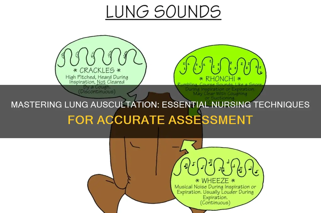 how to auscultate lung sounds nursing