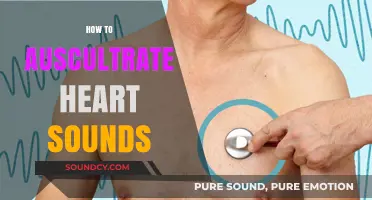 Mastering Auscultation: A Step-by-Step Guide to Heart Sound Assessment