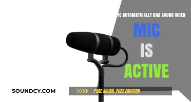 Auto-Dim Sound: Seamlessly Mute Background Noise When Mic is Active