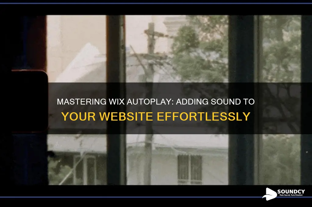 how to autoplay sound on wix