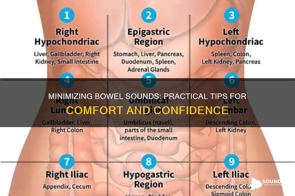 how to avoid bowel sounds