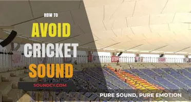 Silence the Chirps: Effective Ways to Avoid Cricket Sounds at Night