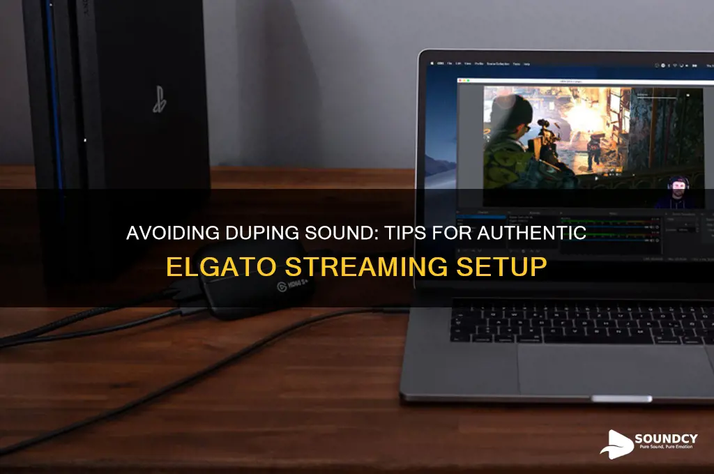 how to avoid duping sound elgato