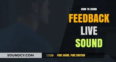 Mastering Live Sound: Effective Strategies to Prevent Feedback During Performances