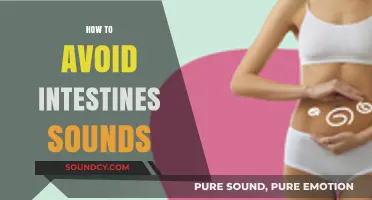 Silent Stomach Strategies: Tips to Prevent Embarrassing Intestinal Noises