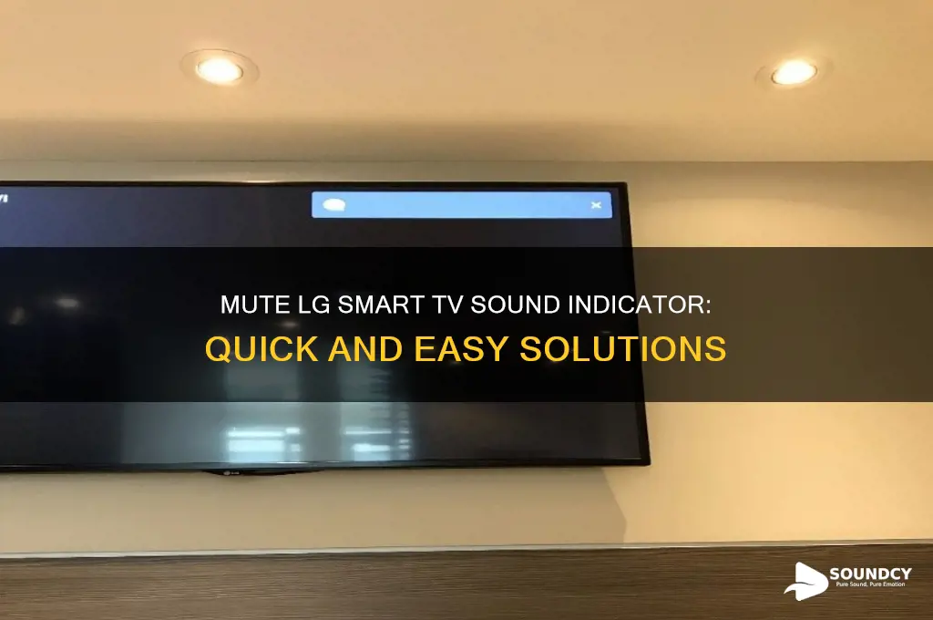 how to avoid sound indicator on lg smart tv