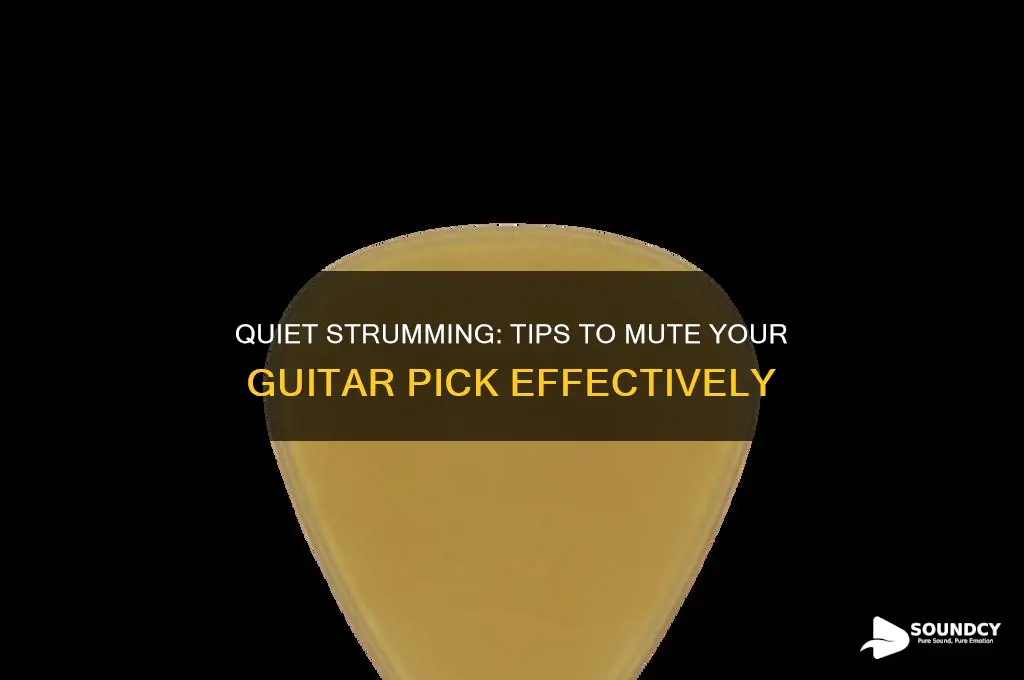 how to avoid the sound of the pick guitar