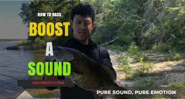 Master Bass Boosting: Enhance Your Sound with Simple Techniques