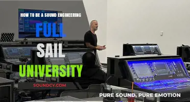 Mastering Sound Engineering: Full Sail University's Path to Audio Excellence
