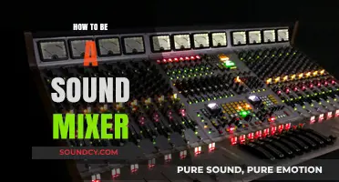 Mastering Sound Mixing: Essential Techniques for Aspiring Audio Professionals