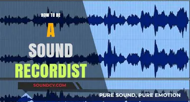 Mastering Sound Recording: Essential Tips for Aspiring Recordists