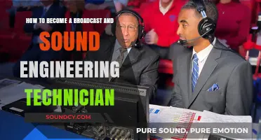 Mastering Broadcast and Sound Engineering: A Technician's Career Guide