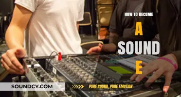 Mastering Sound Engineering: Essential Steps to Launch Your Audio Career
