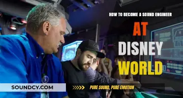 Mastering Disney World's Magic: A Guide to Becoming a Sound Engineer
