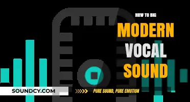 Mastering the Big Modern Vocal Sound: Techniques and Tools for Producers