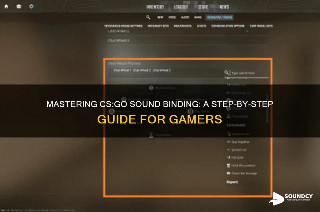how to bind sounds in csgo