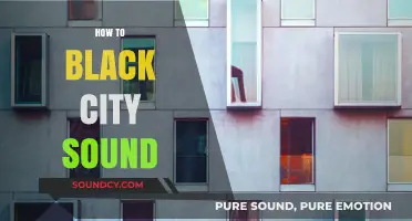 Mastering the Urban Vibe: Crafting the Perfect Black City Sound