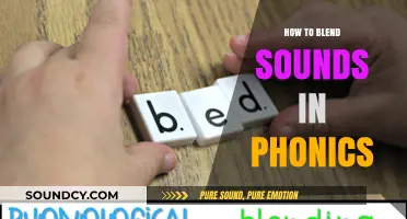 Mastering Phonics: Techniques to Seamlessly Blend Sounds for Reading Success