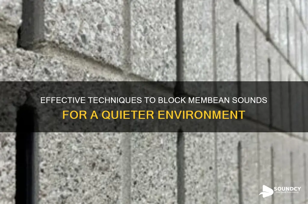 how to blocik membean sounds