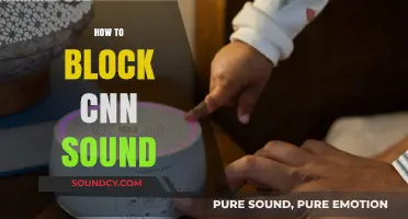Effective Methods to Silence CNN Audio on Your Devices