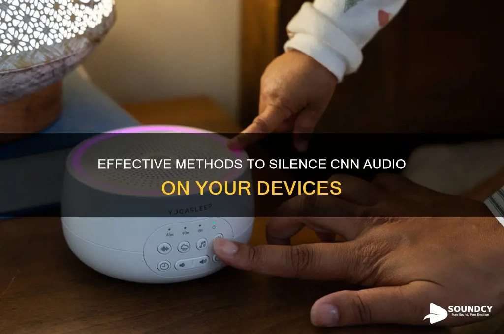 how to block cnn sound