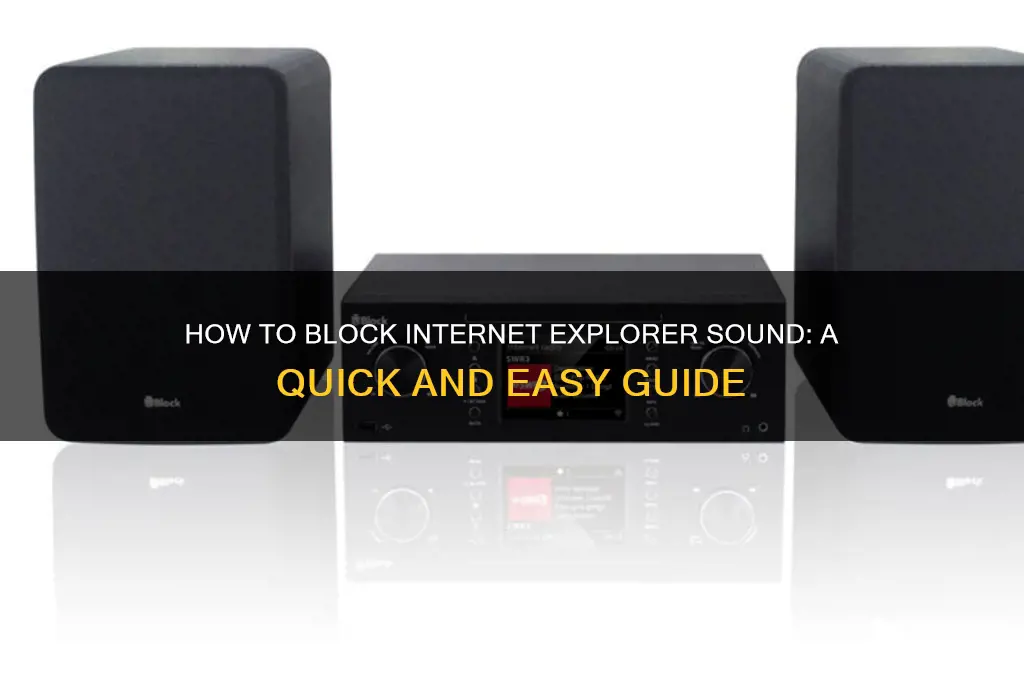 how to block internet explorer sound