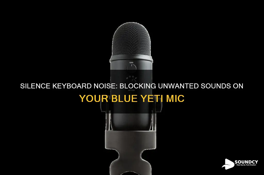 how to block keyboard sound on mic blue yeti