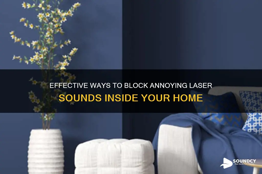 how to block laser sounds from inside my house