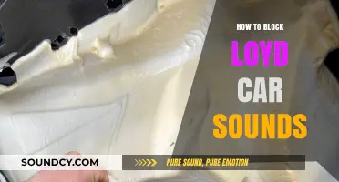 Effective Ways to Silence Your Lloyd Car's Annoying Noises