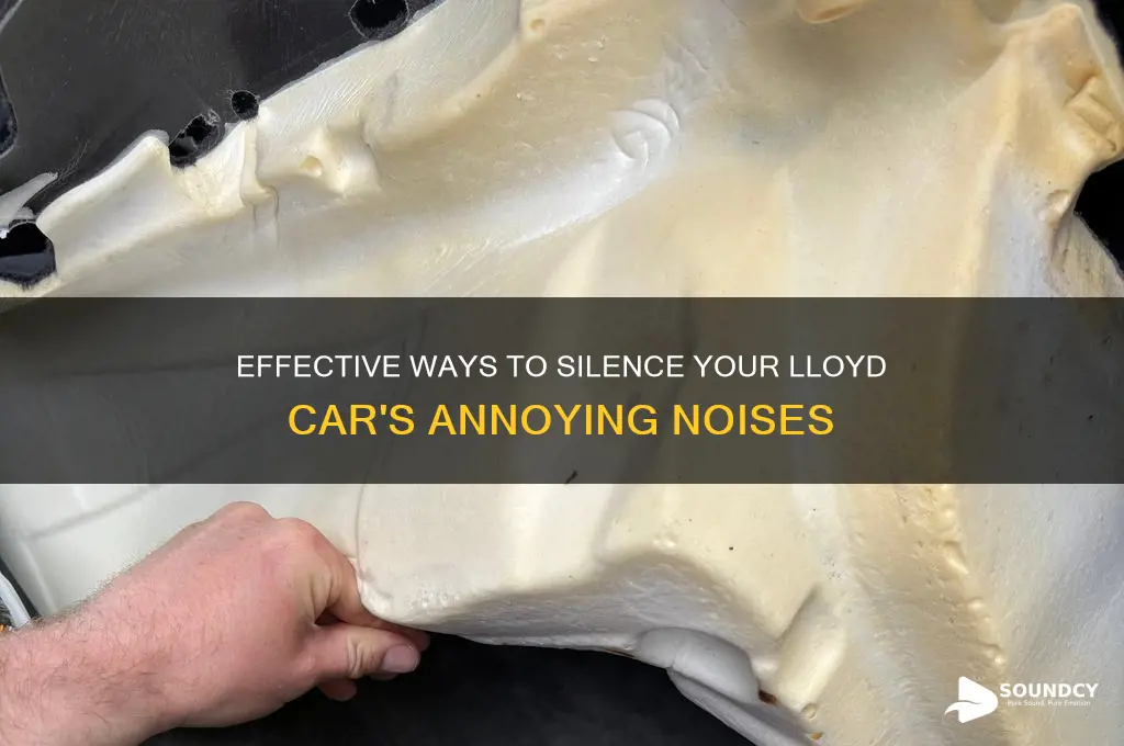 how to block loyd car sounds
