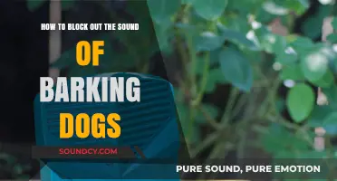 Effective Ways to Silence Barking Dogs and Restore Peace